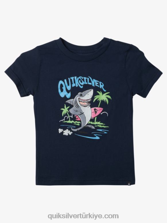 Quiksilver erkek çocuklar 2-7 yıkanmış tişört 226FP1969 donanma blazer