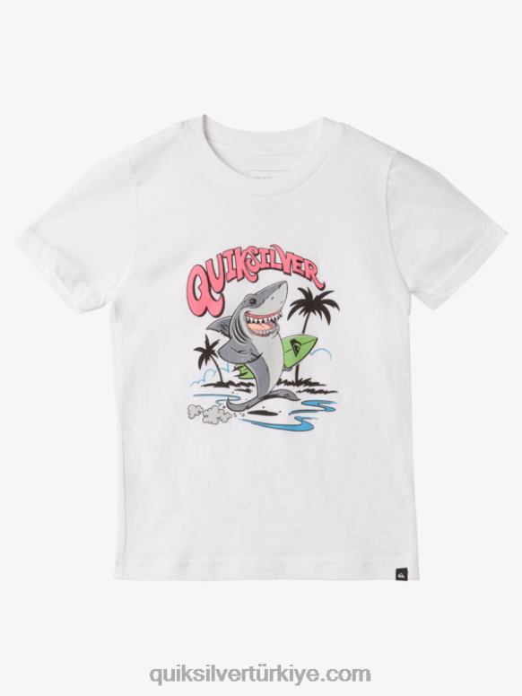 Quiksilver erkek çocuklar 2-7 yıkanmış tişört 226FP1970 beyaz
