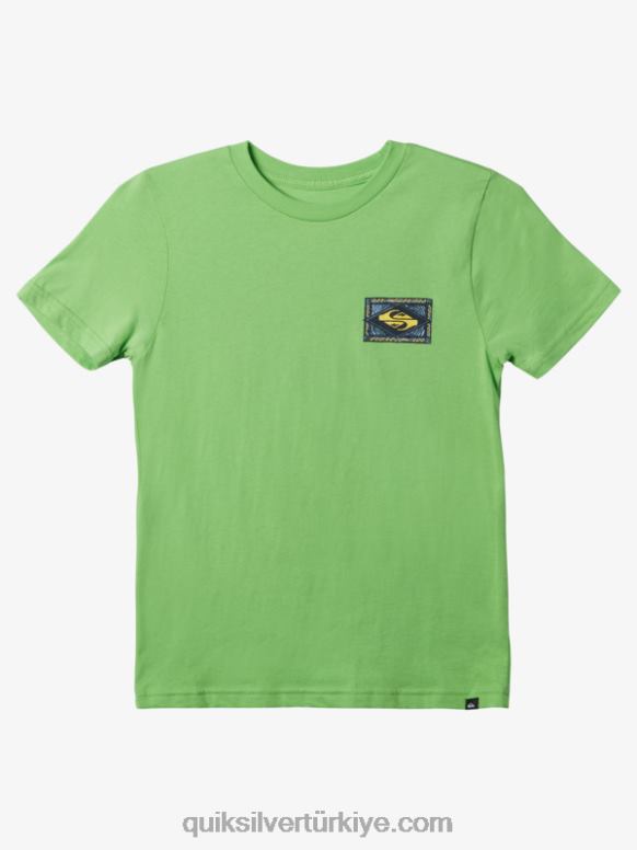 Quiksilver erkek çocuklar 8-16 Titreşimli Tişört 226FP1945 Panama