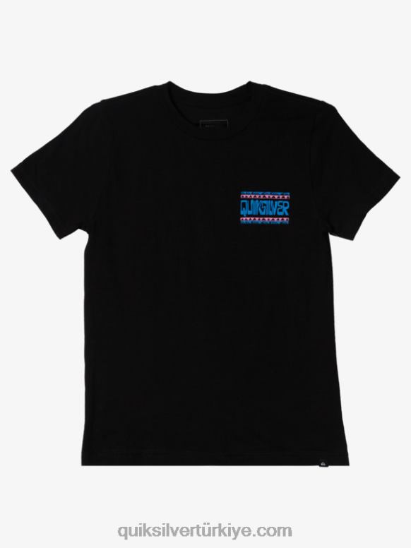 Quiksilver erkek çocuklar 8-16 çarpık çerçeve t-shirt 226FP2156 siyah
