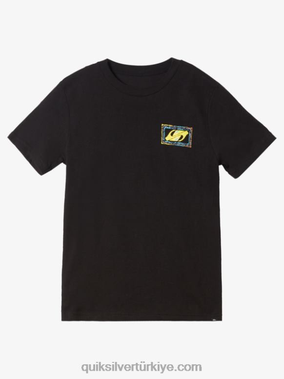 Quiksilver erkek çocuklar 8-16 echoed beat t-shirt 226FP1981 siyah