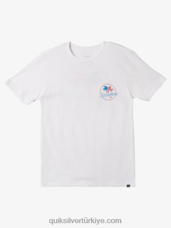 Quiksilver erkek çocuklar 8-16 palmiye esintili t-shirt 226FP1956 beyaz