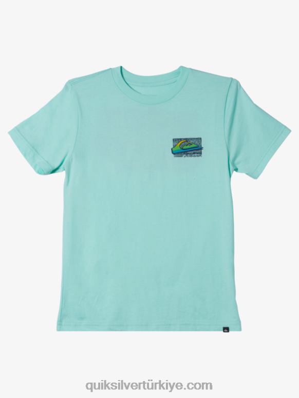 Quiksilver erkek çocuklar 8-16 retro soluk t-shirt 226FP2124 plaj camı