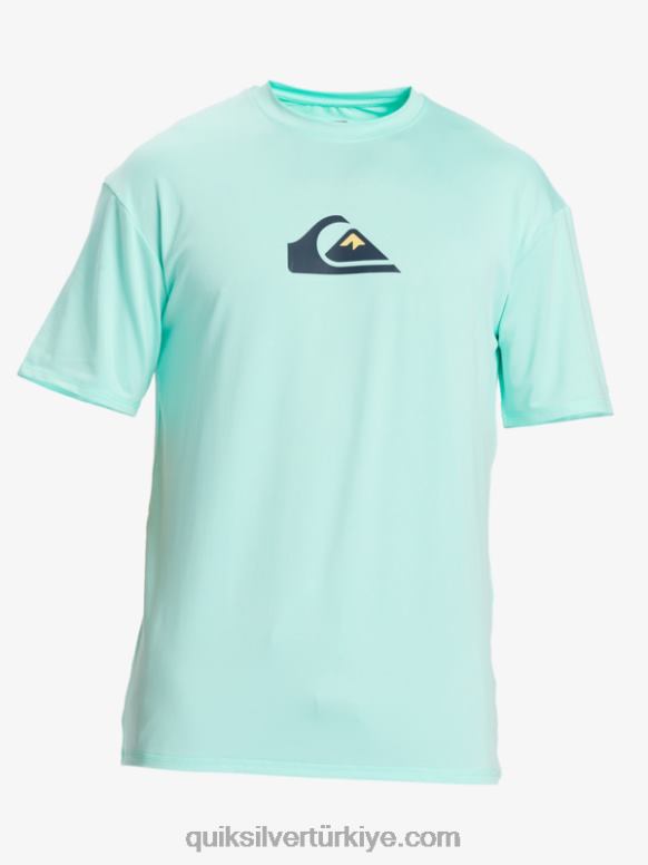 Quiksilver erkekler düz çizgi kısa kollu upf 50 sörf tişörtü 226FP886 plaj camı