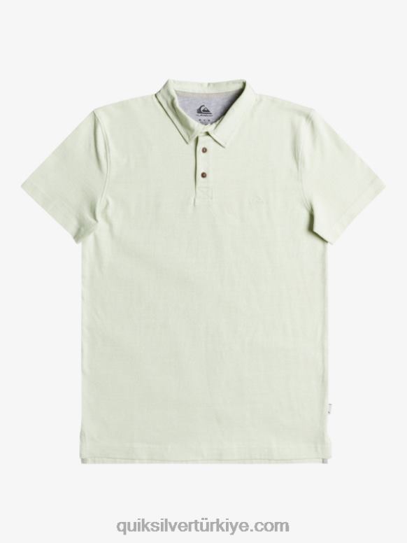 Quiksilver erkekler günlük güneş gezisi kısa kollu polo tişört 226FP1554 celendine