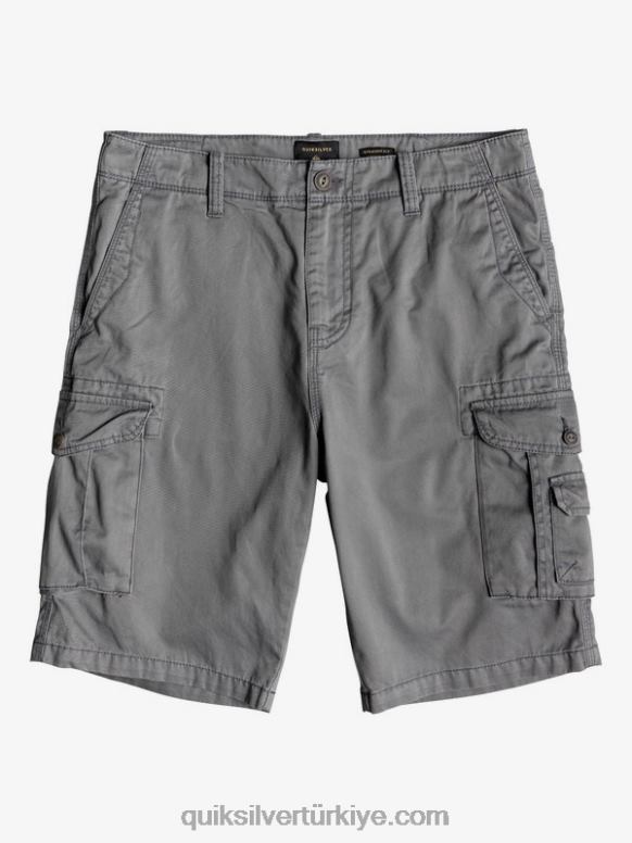 Quiksilver erkekler kritik savaş 21 kargo şortu 226FP1525 sessiz gölge
