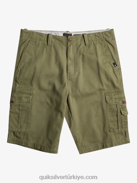 Quiksilver erkekler önemli savaş kargo şortları 226FP954 dört yapraklı yonca