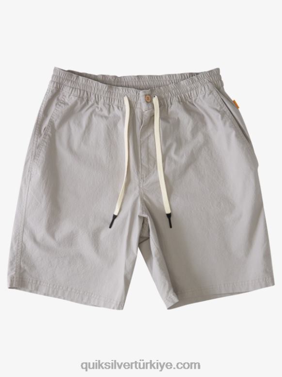 Quiksilver erkekler sörf şortundan sonra su adamı 226FP1576 çakmaktaşı grisi
