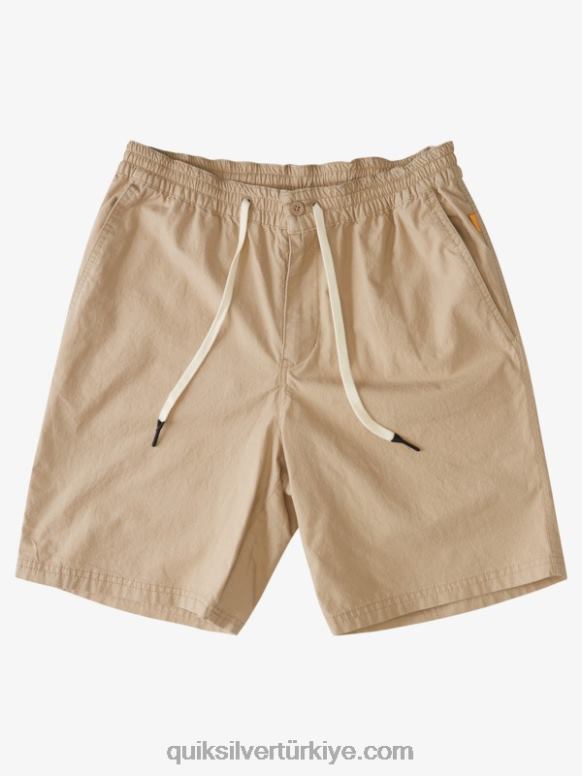 Quiksilver erkekler sörf şortundan sonra su adamı 226FP1578 tütsü
