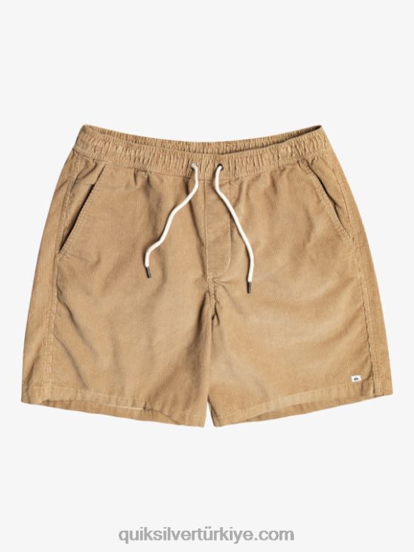 Quiksilver erkekler vergi kordonu şort 226FP359 plaj