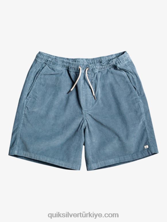 Quiksilver erkekler vergi kordonu şort 226FP364 Bering Denizi