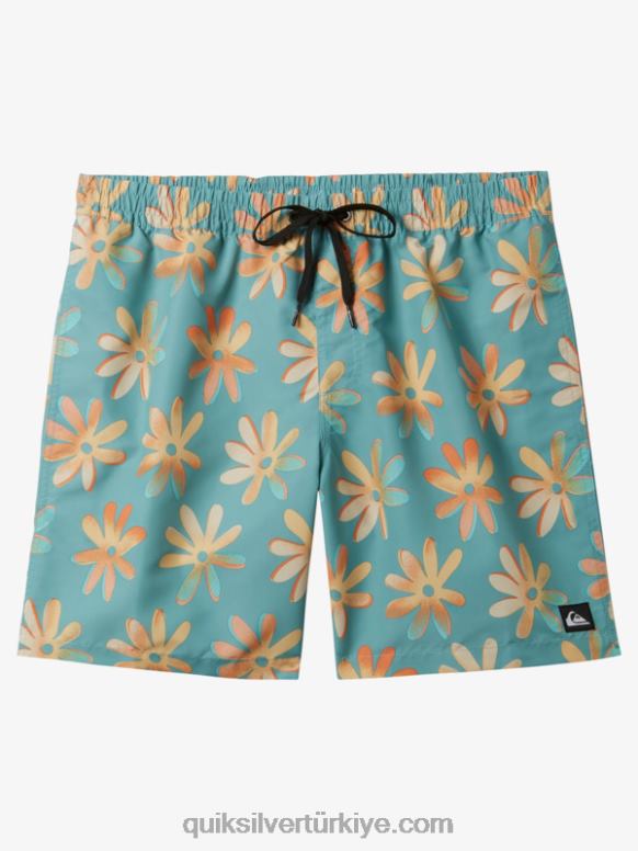 Quiksilver erkekler 17 voleybolu yeniden karıştırın 226FP353 kameo mavisi