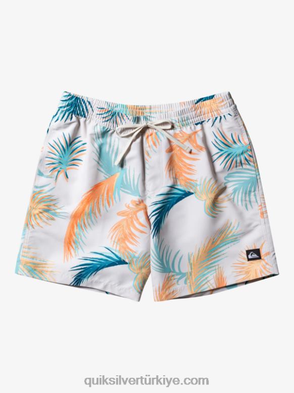 Quiksilver erkekler 17 voleybolu yeniden karıştırın 226FP355 huş ağacı