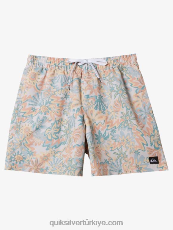 Quiksilver erkekler 17 voleybolu yeniden karıştırın 226FP357 huş ağacı