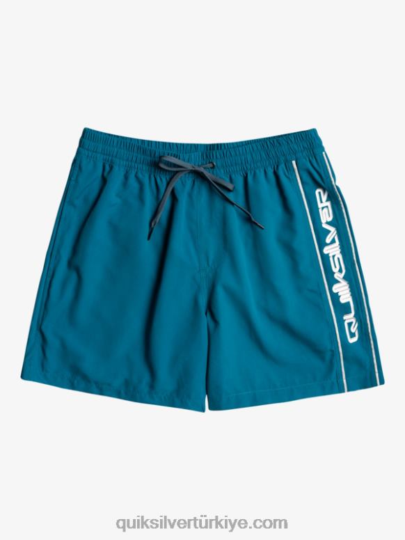 Quiksilver erkekler günlük dikey 16 yaylım ateşi 226FP701 fas mavisi