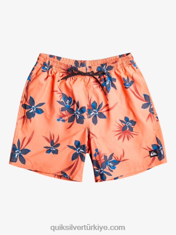 Quiksilver erkekler günlük mix 17 voleybol 226FP1209 taze somon