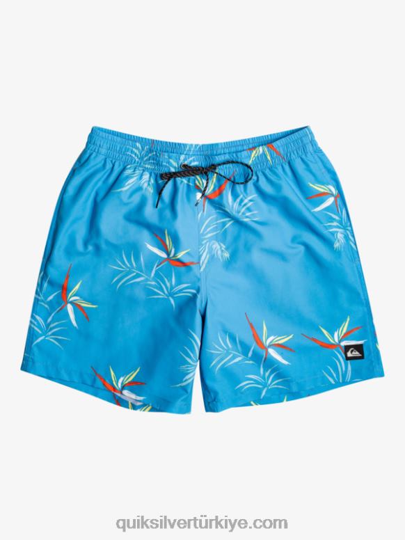 Quiksilver erkekler günlük mix 17 voleybol 226FP674 masmavi