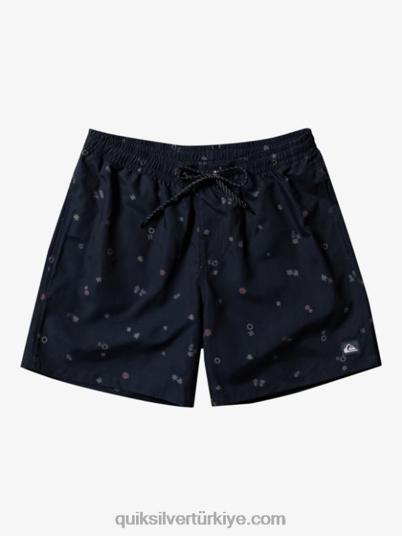Quiksilver erkekler günlük mix 17 voleybol 226FP682 asfalt