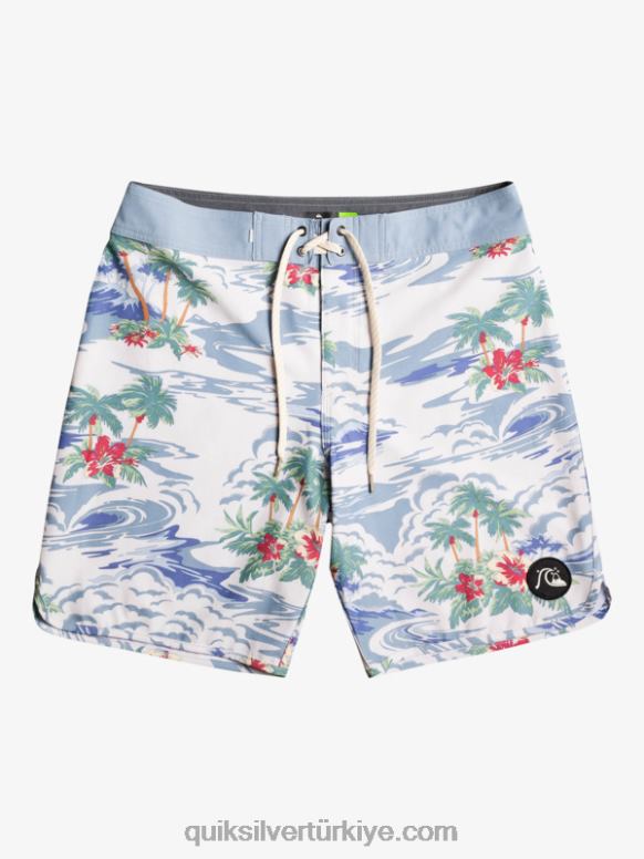 Quiksilver erkekler hempstretch fisto 19 sörf şortu 226FP1739 huş ağacı