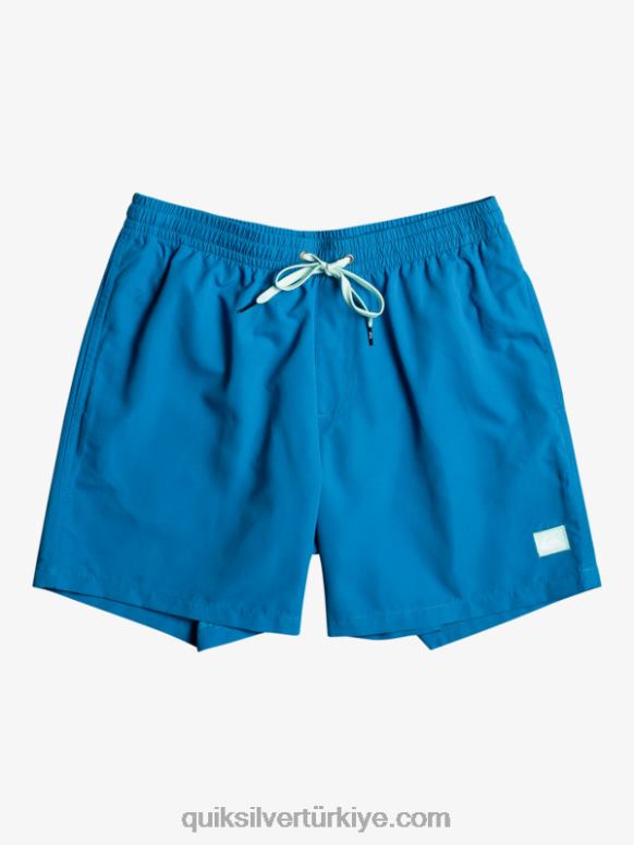 Quiksilver erkekler her gün 17 voleybol 226FP625 şnorkel mavi