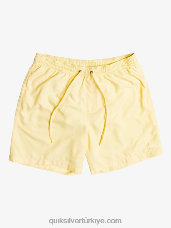 Quiksilver erkekler her gün 17 voleybol 226FP628 soluk muz