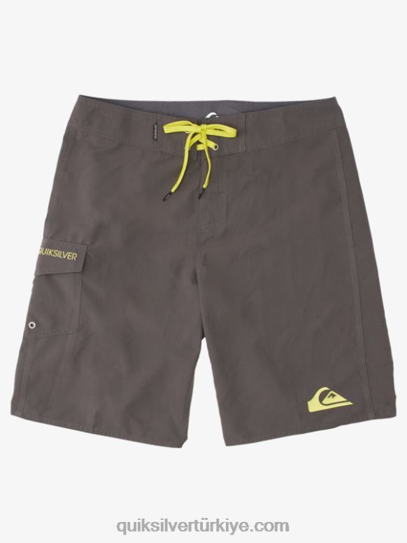 Quiksilver erkekler her gün 21 sörf şortu 226FP1537 karanlık gölge