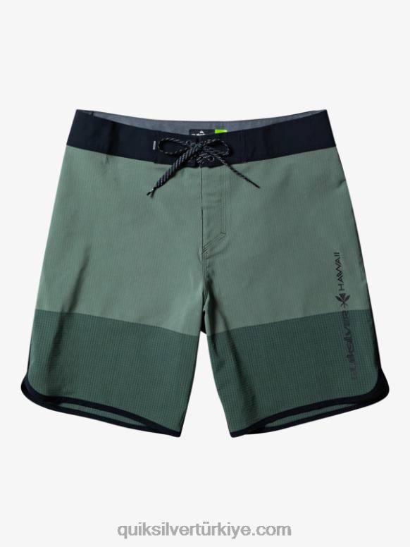 Quiksilver erkekler highlite tarak 19 sörf şortu 226FP30 Kekik