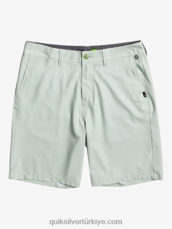 Quiksilver erkekler okyanus birliği amfibi 20 hibrit şort 226FP149 çöl adaçayı