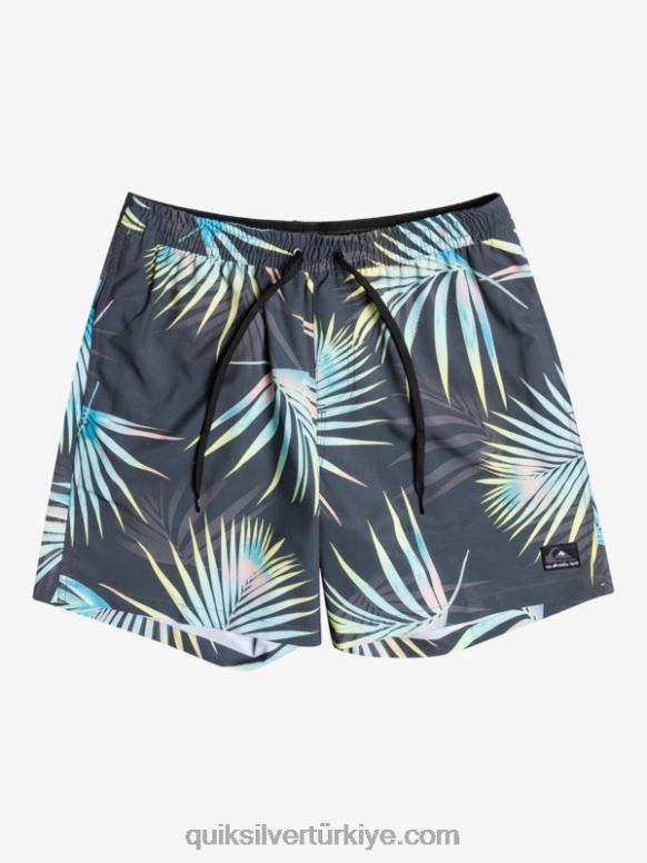 Quiksilver erkekler okyanus karışımı 17 voleybol 226FP1706 asfalt
