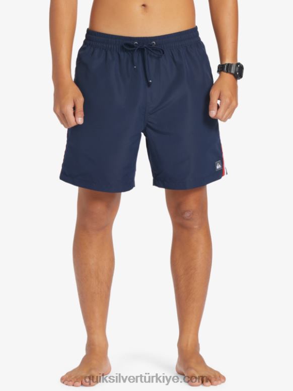 Quiksilver erkekler plaj lütfen 17 voleybol 226FP280 donanma blazer