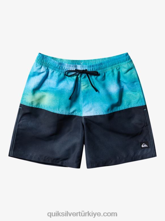 Quiksilver erkekler popo logosu 17 voleybolu 226FP482 nehir mavisi