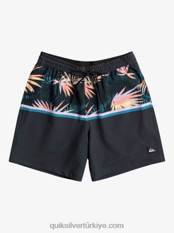 Quiksilver erkekler surfsilk bölümü 17 voleybolu 226FP1637 siyah