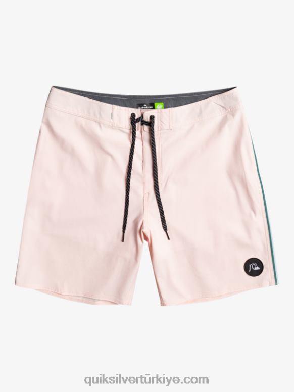 Quiksilver erkekler surfsilk borulu 18 sörf şortu 226FP1751 örtülü pembe