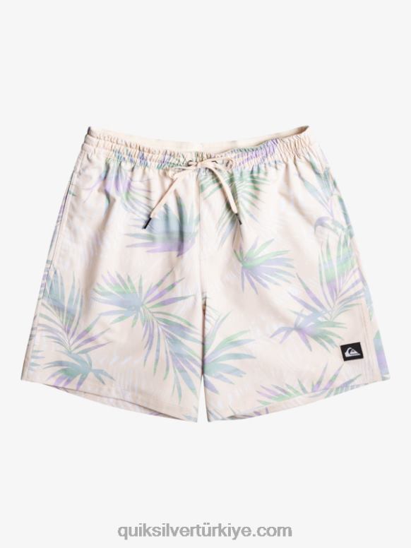 Quiksilver erkekler surfsilk karışımı 17 voleybol 226FP635 huş ağacı
