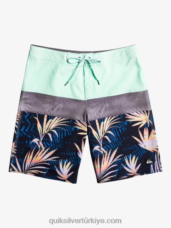 Quiksilver erkekler surfsilk panel 20 sörf şortu 226FP134 plaj camı