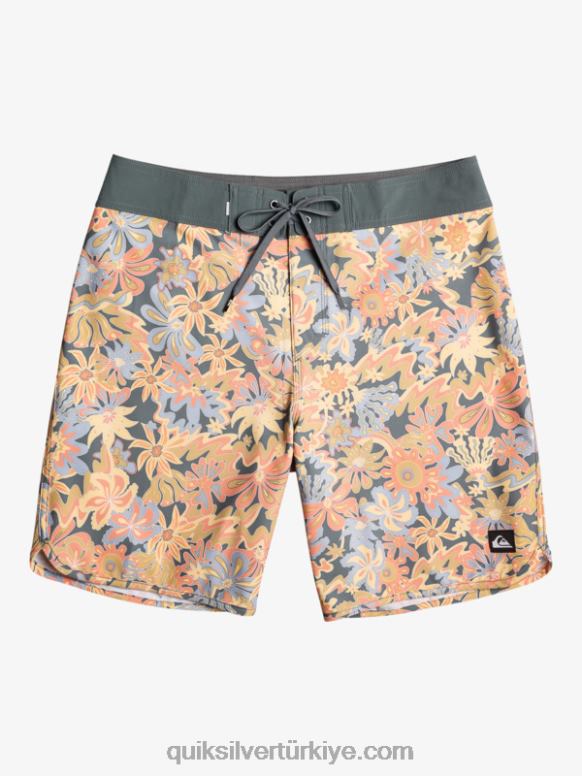 Quiksilver erkekler surfsilk tarak 19 sörf şortu 226FP219 karanlık sayfa