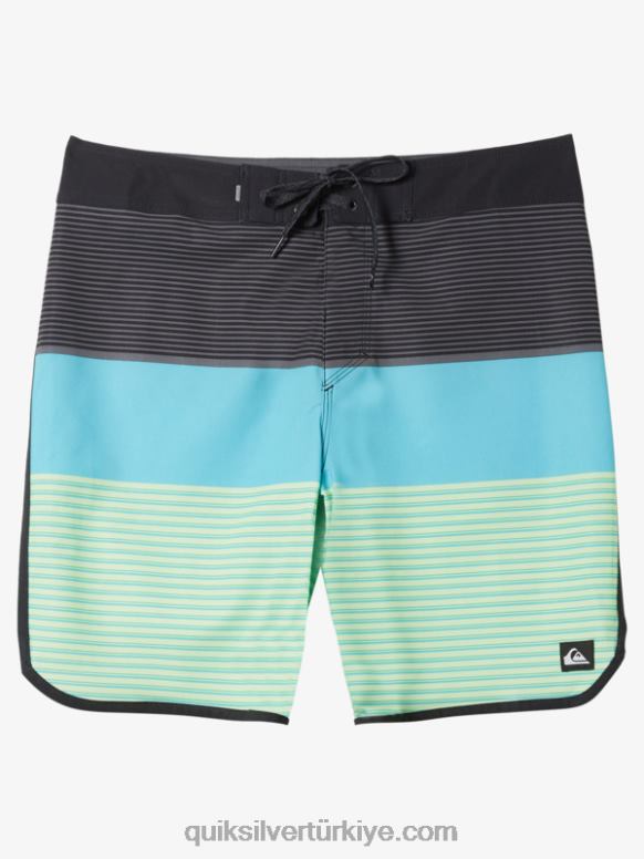 Quiksilver erkekler surfsilk tijuana 19 sörf şortu 226FP208 siyah
