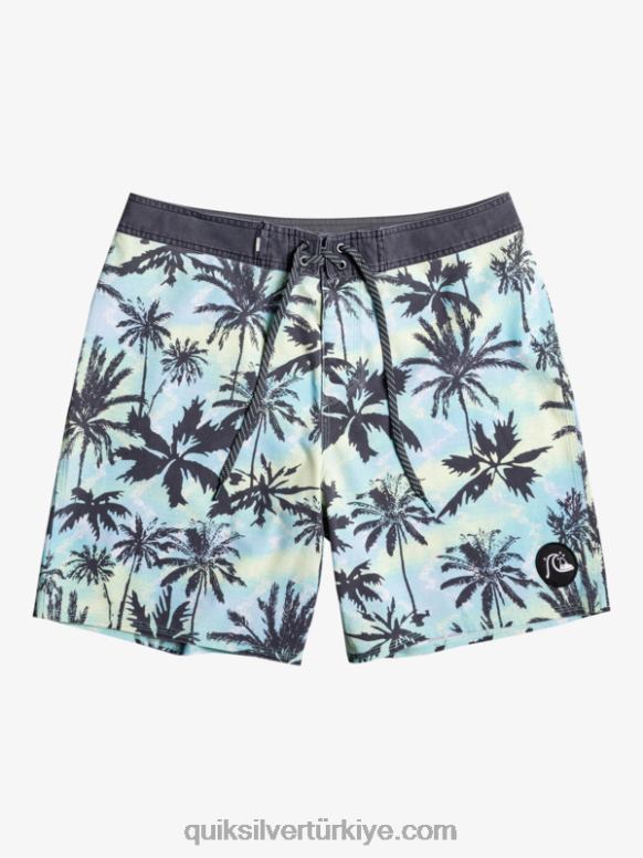 Quiksilver erkekler surfsilk yıkanmış 18 sörf şortu 226FP1757 düğün çiçeği