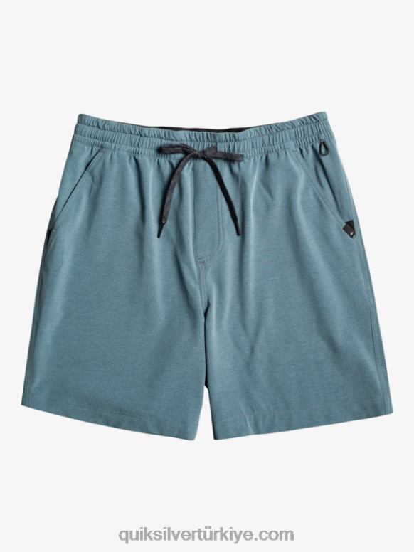 Quiksilver erkekler vergi görevlisi heather 18 amfibi sörf şortu 226FP302 Bering Denizi