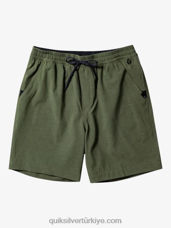Quiksilver erkekler vergi görevlisi heather 18 amfibi sörf şortu 226FP303 dört yapraklı yonca