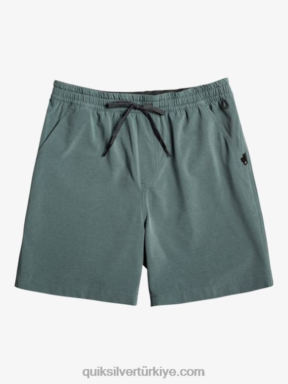Quiksilver erkekler vergi görevlisi heather 18 amfibi sörf şortu 226FP305 karanlık sayfa