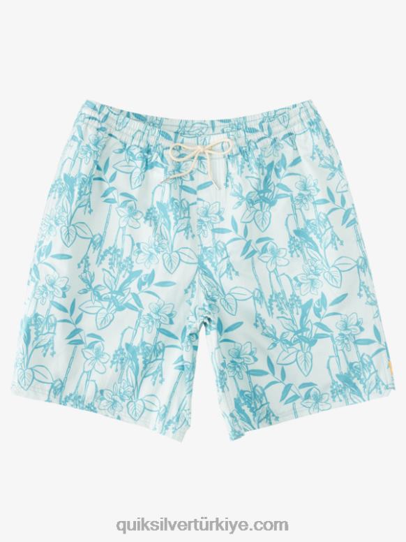 Quiksilver erkekler waterman gevşek yollar 17 yaylım ateşi 226FP939 ince yeşil serbest yollar vy