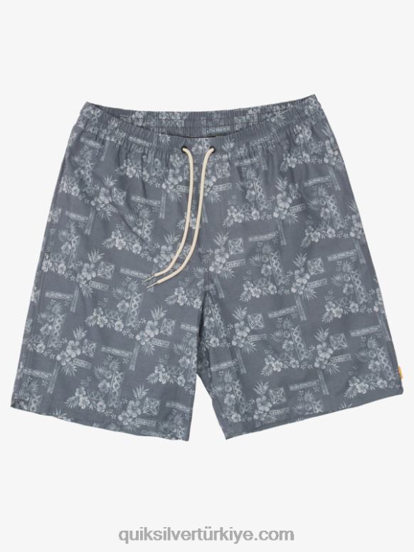 Quiksilver erkekler waterman taş basamaklar 19 voleybolu 226FP1366 siyah taş adımları vol