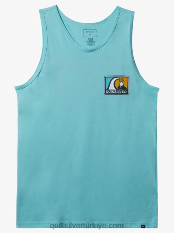 Quiksilver erkekler yumuşak kabarcık tankı 226FP165 melek mavisi