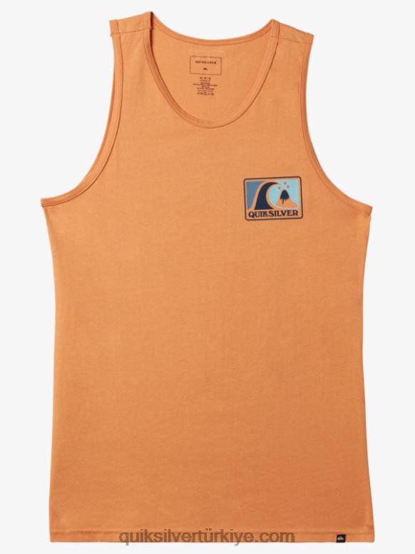 Quiksilver erkekler yumuşak kabarcık tankı 226FP167 bakır bronzluğu