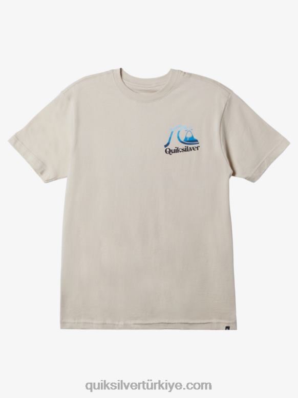 Quiksilver erkekler ada zamanı t-shirt 226FP1626 huş ağacı
