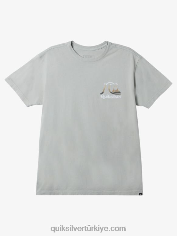 Quiksilver erkekler ada zamanı t-shirt 226FP1628 çöl adaçayı