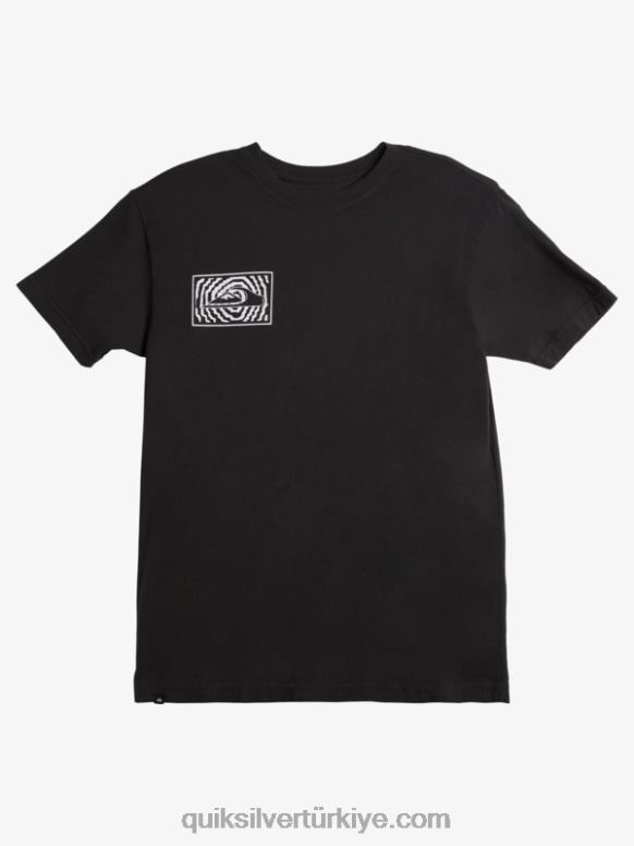 Quiksilver erkekler şanslı logolu tişört 226FP983 siyah