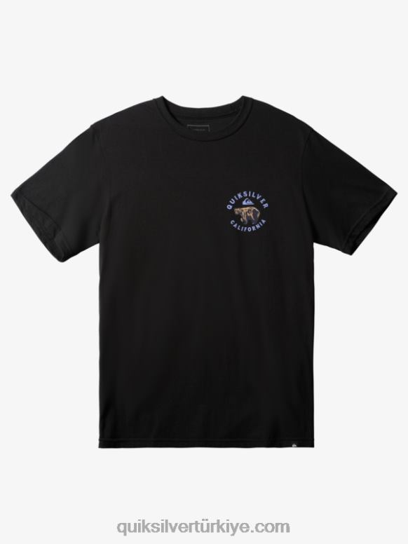 Quiksilver erkekler ca bağımsız t-shirt 226FP1515 siyah