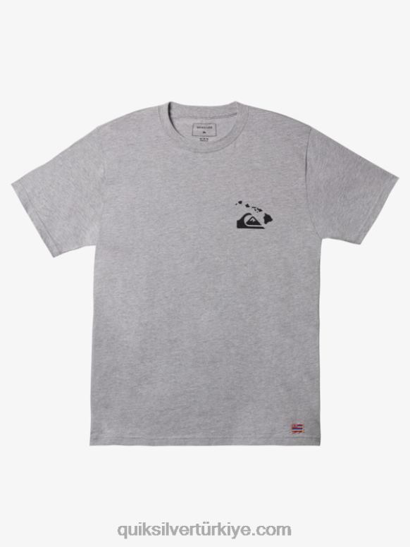 Quiksilver erkekler hawaii çift balık oltası tişört 226FP1113 atletik funda